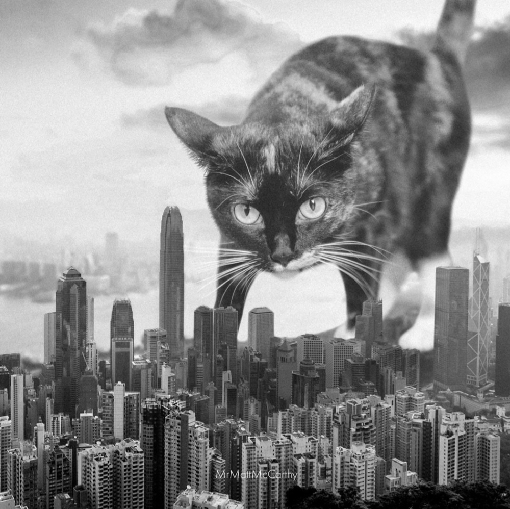 🌈 80's Wild Style 🏍 Vintage Harley Davidson 🧥 Premium Leather & Denim